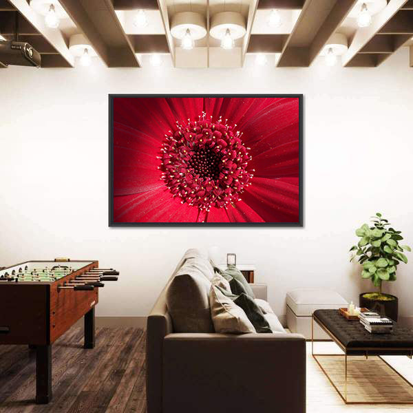 Red Gerbera Daisy Center Canvas Wall Art