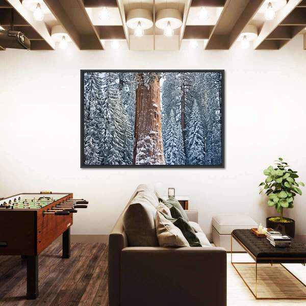 The Giant Sequoia Tree Covered In Snow Canvas Wall Art