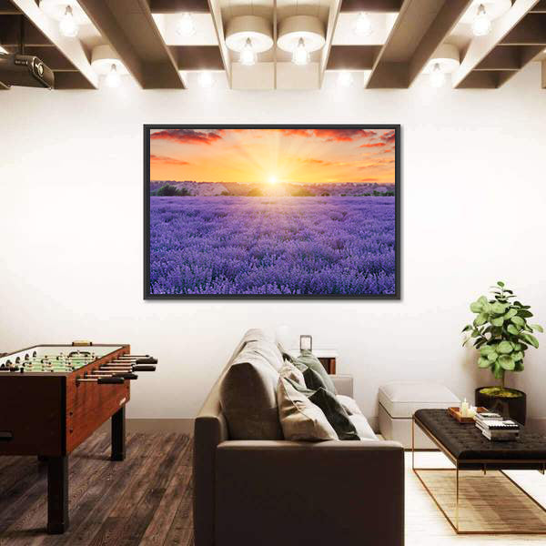 Lavender Fields At Sunset Canvas Wall Art