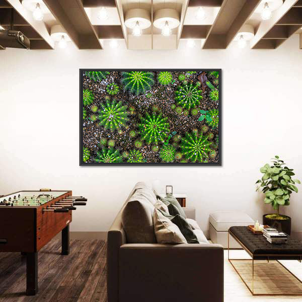 Cactus Plants Close-up Canvas Wall Art