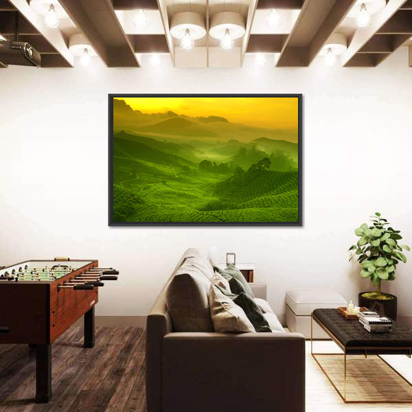 Tea Plantation In Cameron Highland At Sunrise Canvas Wall Art