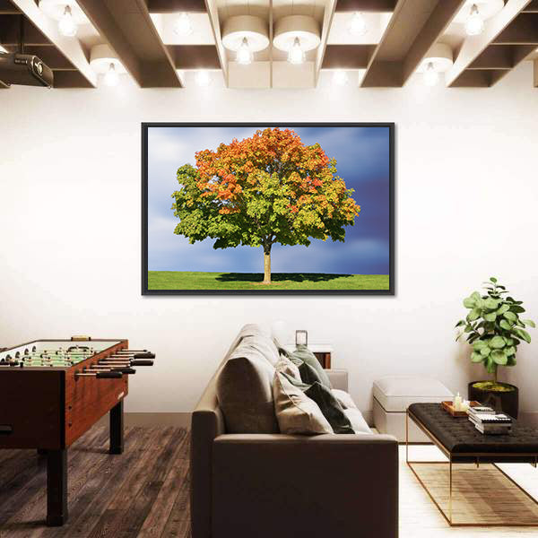 Maple Tree In Autumn Canvas Wall Art