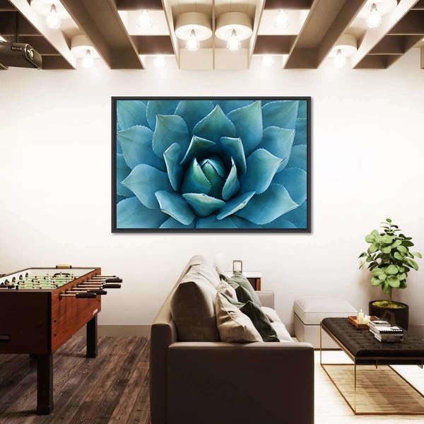 Closeup Of An Agave Plant Canvas Wall Art