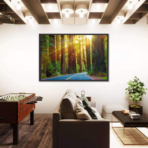 Redwood Highway In Northern California Canvas Wall Art