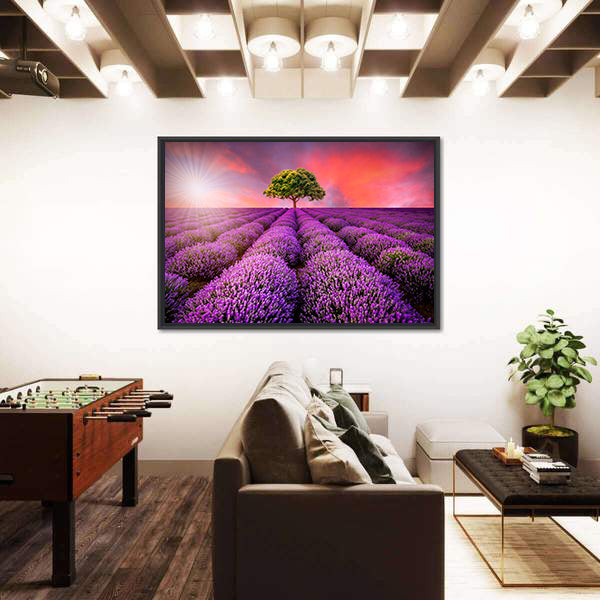 Lavender Field At Sunset Canvas Wall Art