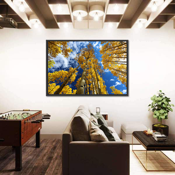 Golden Autumn Aspen Canopy Canvas Wall Art