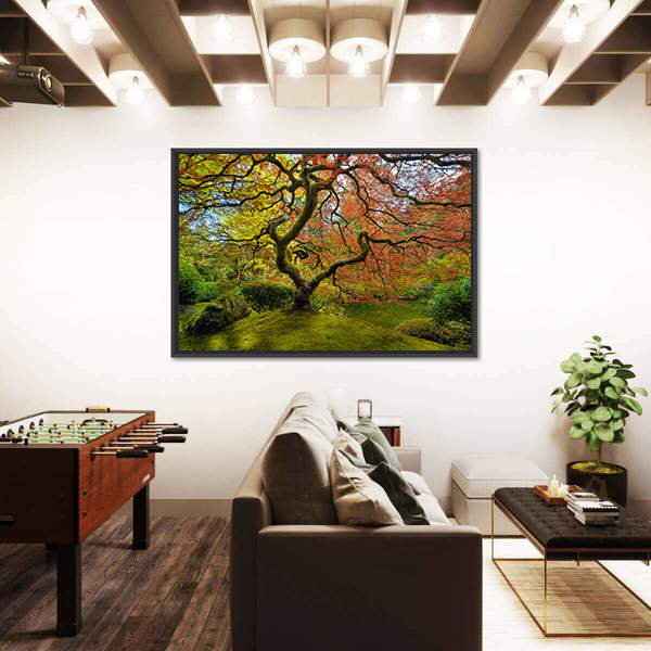 Gnarled Japanese Maple Tree in Portland Canvas Wall Art