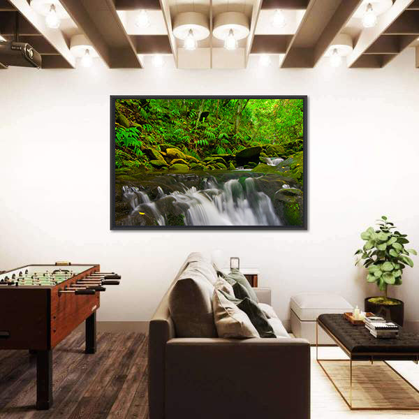 Stream Flowing Through Lush Jungle In Maui Hawaii Canvas Wall Art