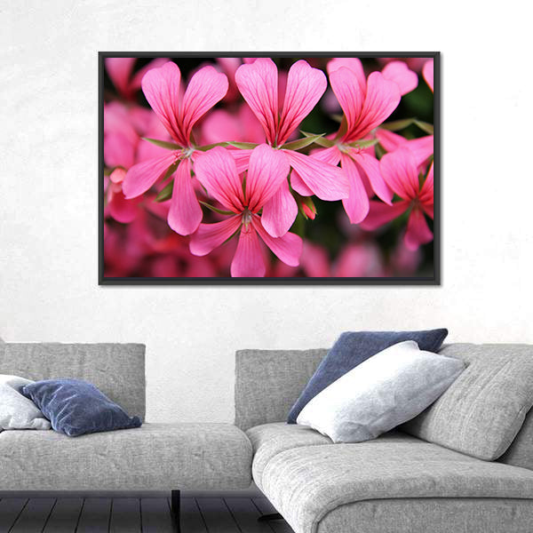 Pink Geranium Cascade Flowers Canvas Wall Art