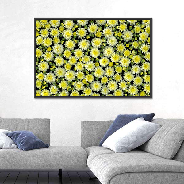 Yellow and White Chrysanthemums Canvas Wall Art