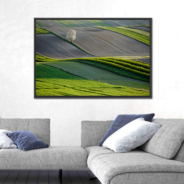 Wavy Fields In Poland Canvas Wall Art