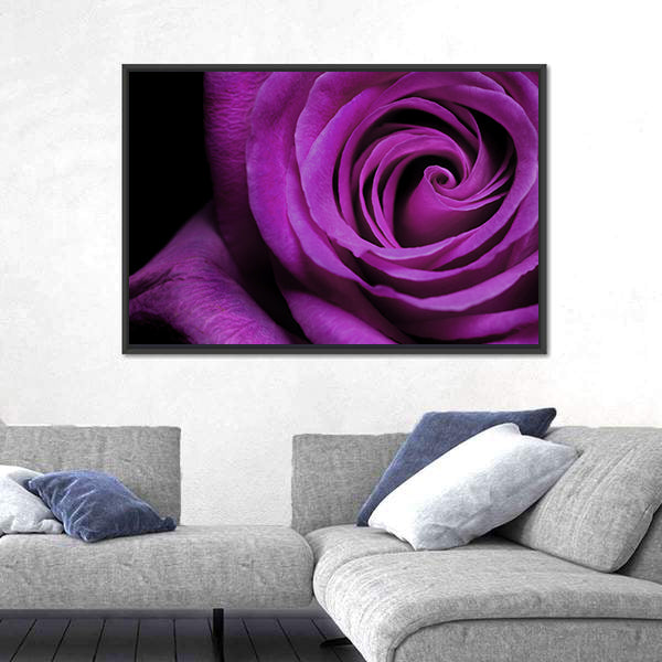 Purple Rose Close-Up Canvas Wall Art