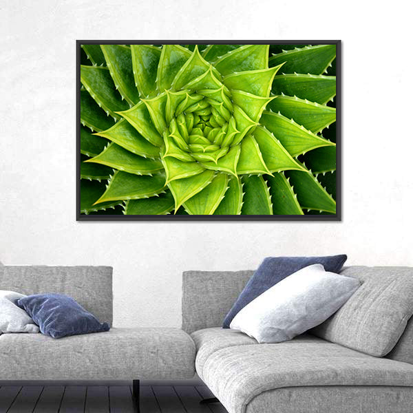 Vivid Green Spiral Aloe Plant Canvas Wall Art