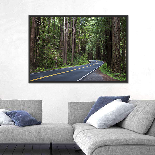 Redwoods Forest In California Canvas Wall Art