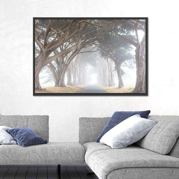 Misty Trees Alley In Foggy Weather Canvas Wall Art