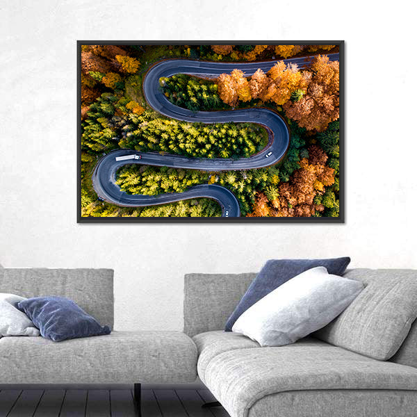 Winding Forest Road From Top Canvas Wall Art