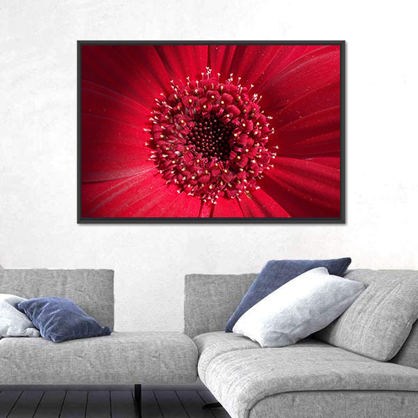 Red Gerbera Daisy Center Canvas Wall Art