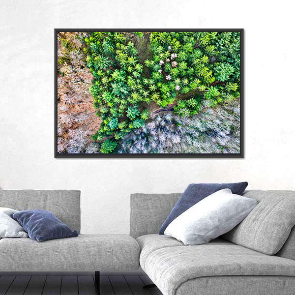 Aerial View Of Trees In The Vosges Mountains In Alsace France Canvas Wall Art