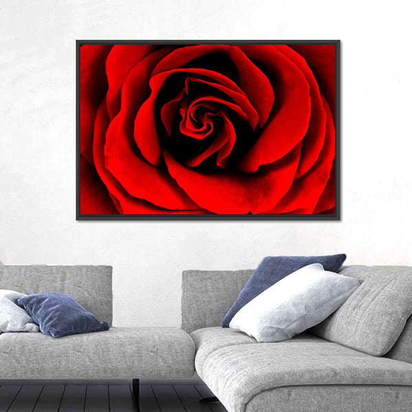 Closeup Of A Red Rose Canvas Wall Art