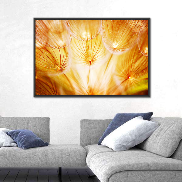 Soft Dandelion Flower Canvas Wall Art