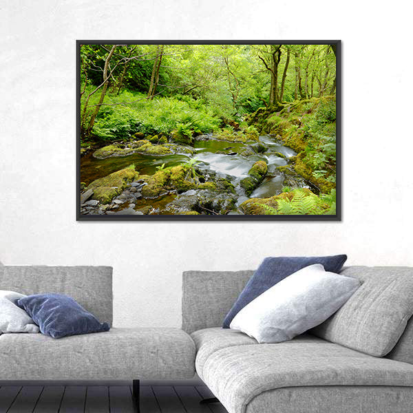 Dolgoch Falls In Wales UK Canvas Wall Art