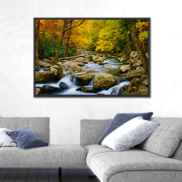 Rushing Stream in Great Smokey Mountains Canvas Wall Art