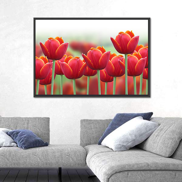 Spring Tulip Flower Canvas Wall Art