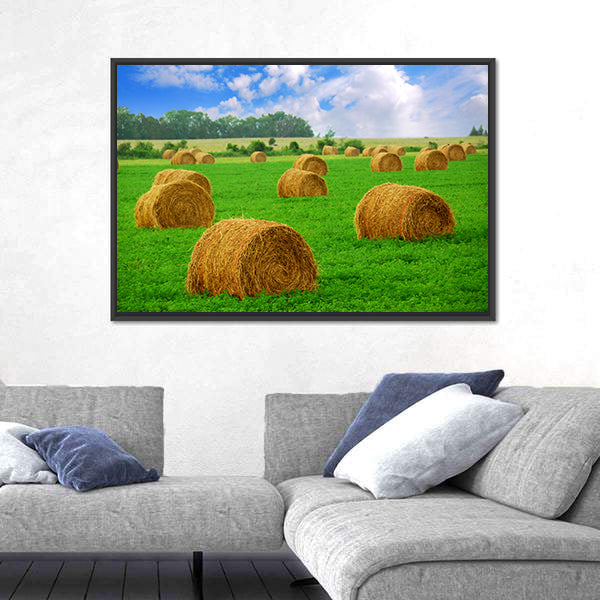 Hay Bales in a Field Canvas Wall Art