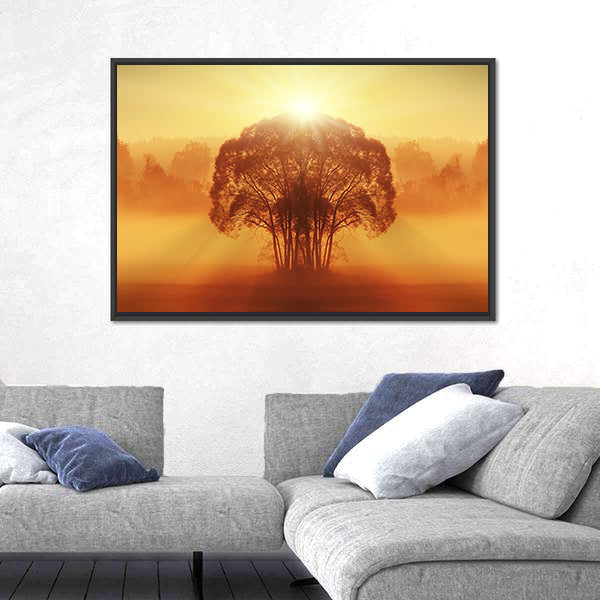 Lone Tree in Golden Morning Mist Canvas Wall Art