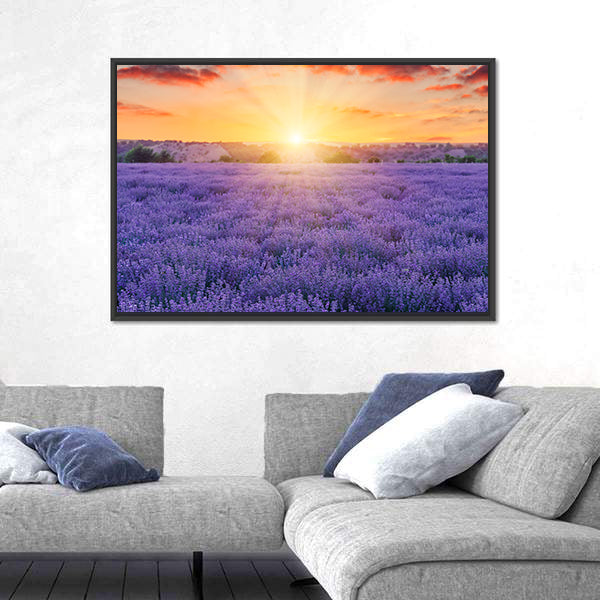 Lavender Fields At Sunset Canvas Wall Art