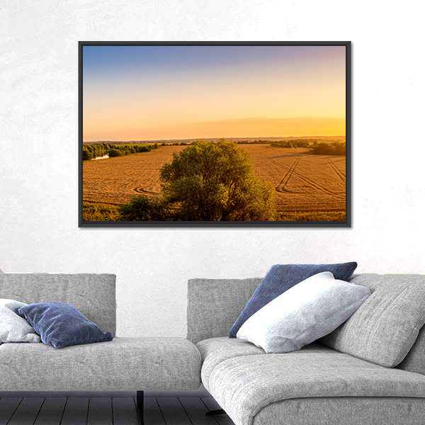 Sunset Over Golden Field with Curved Tracks Canvas Wall Art