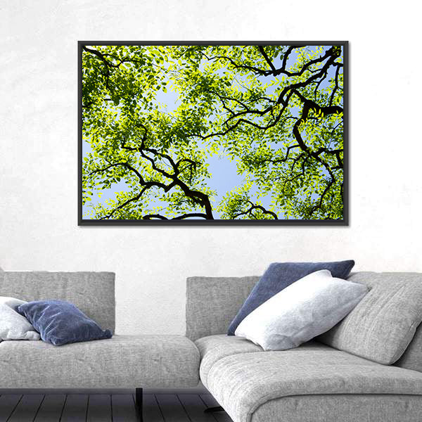 Tree Canopy with Bright Blue Sky Canvas Wall Art