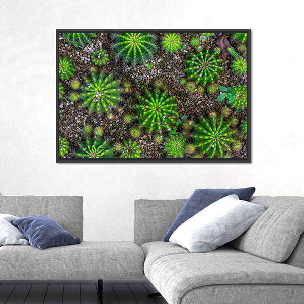 Cactus Plants Close-up Canvas Wall Art