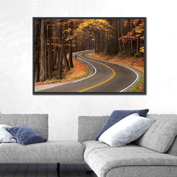 S-curve Road in Great Smokey Mountains Canvas Wall Art