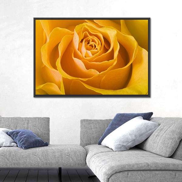 Close Up Of Rose Canvas Wall Art