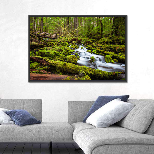 Sol Duc Falls Trail In Olympic National Park Canvas Wall Art