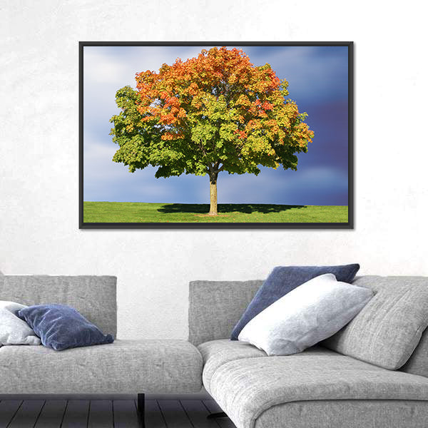 Maple Tree In Autumn Canvas Wall Art