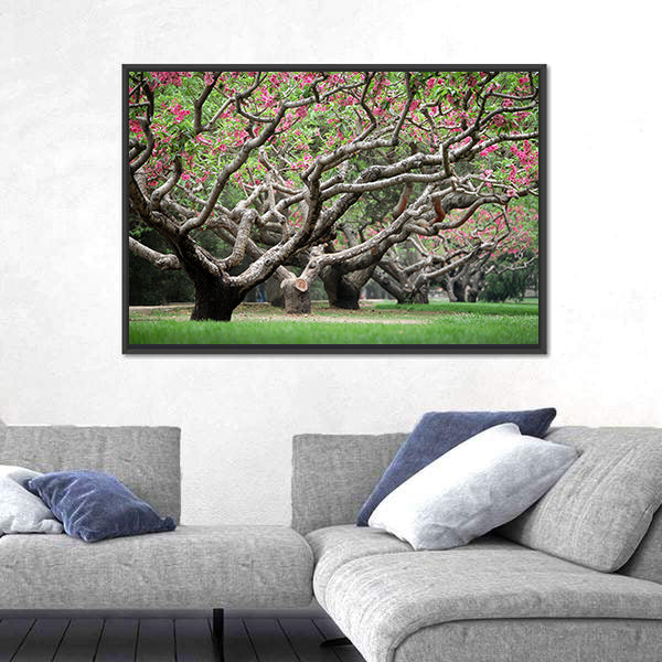Peach Trees With Blooming Pink Flowers Canvas Wall Art