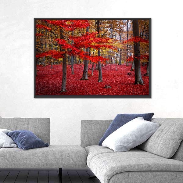 Red Trees In The Forest During Fall Canvas Wall Art