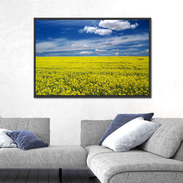 Golden Canola Field Canvas Wall Art