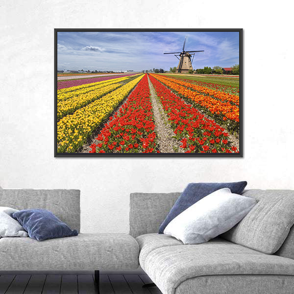 Colorful Dutch Tulip Fields with Windmill Canvas Wall Art