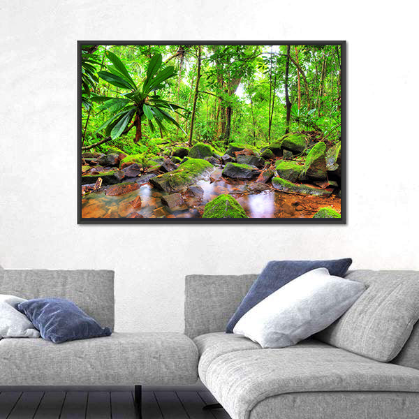 Masoala National Park in Madagascar Canvas Wall Art