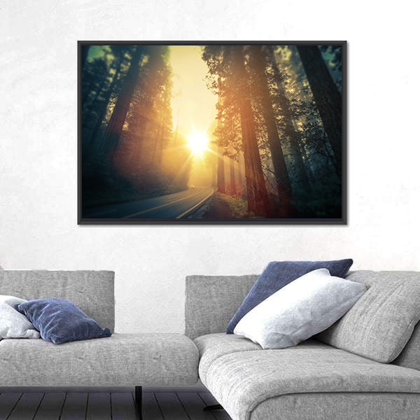 Foggy Redwood Forest Road Canvas Wall Art