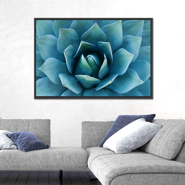 Closeup Of An Agave Plant Canvas Wall Art