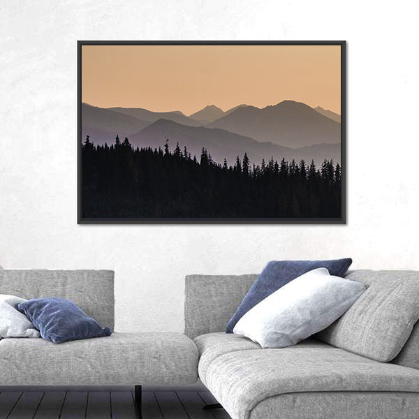 Early Morning Mist On Forest Mountain Canvas Wall Art
