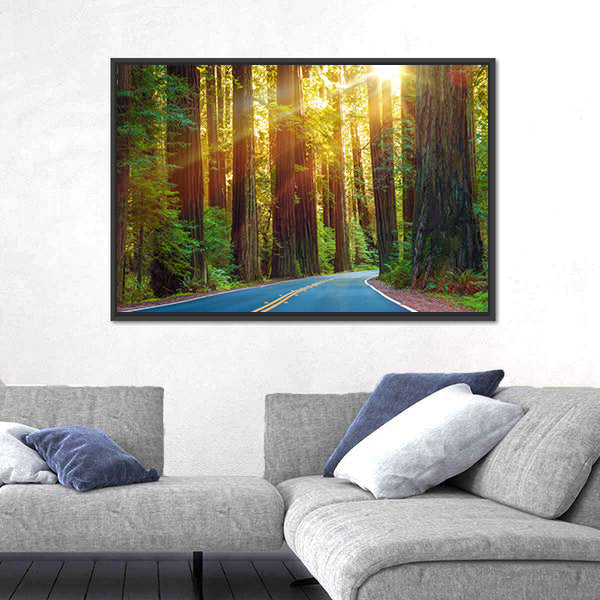 Redwood Highway In Northern California Canvas Wall Art