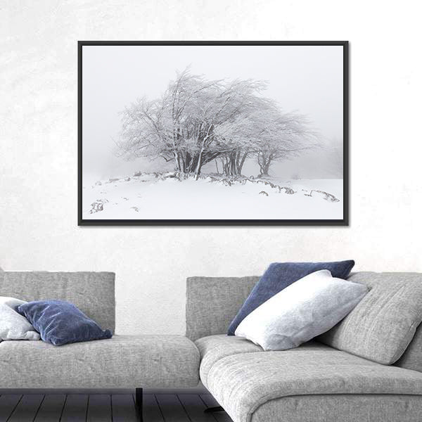 Foggy Winter Landscape In The Forest Canvas Wall Art
