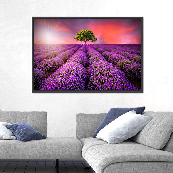 Lavender Field At Sunset Canvas Wall Art