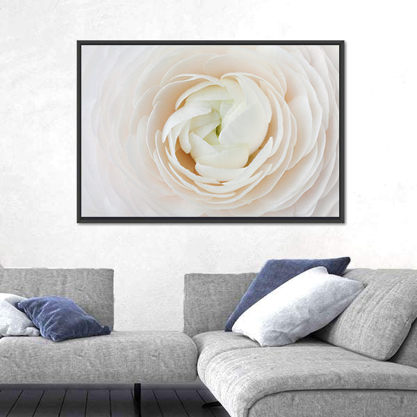 Closeup of Ranunculus Flower Canvas Wall Art