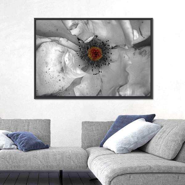 Selective Color Macro Flower Canvas Wall Art